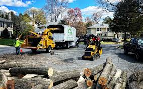  Pendleton, OR Tree Services Pros