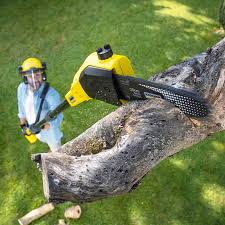 Best Tree Mulching  in Pendleton, OR