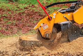 Best Lawn Disease Treatment  in Pendleton, OR
