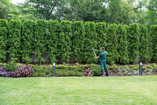 Best Lawn Drainage Solutions  in Pendleton, OR