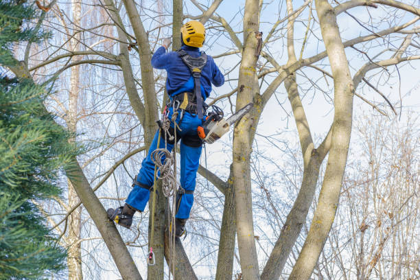 Best Tree Preservation Services  in Pendleton, OR